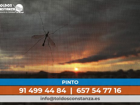 mosquiteras en pinto