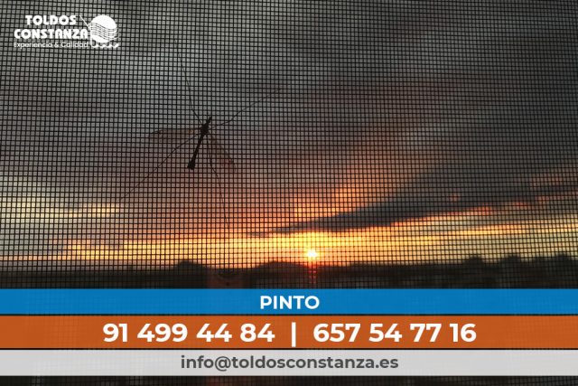 mosquiteras en pinto